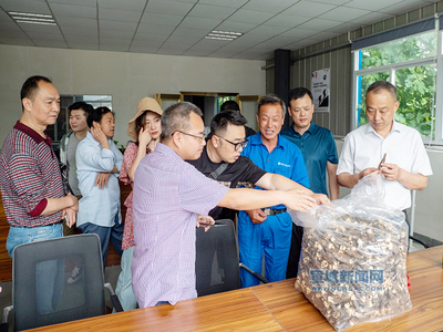 助力绿色产业 倡导健康生活 我市文艺志愿服务小分队走进宣州“摇橹小镇” 采收羊肚菌