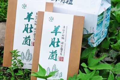 复建村的蝶变 羊肚菌如何助力打造绝美的世外桃源